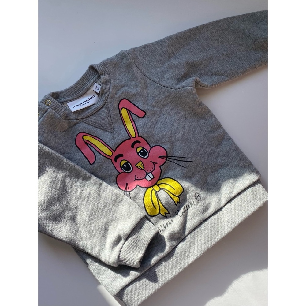 EUC Mini Rodini t-toys rabbit pullover 68/74